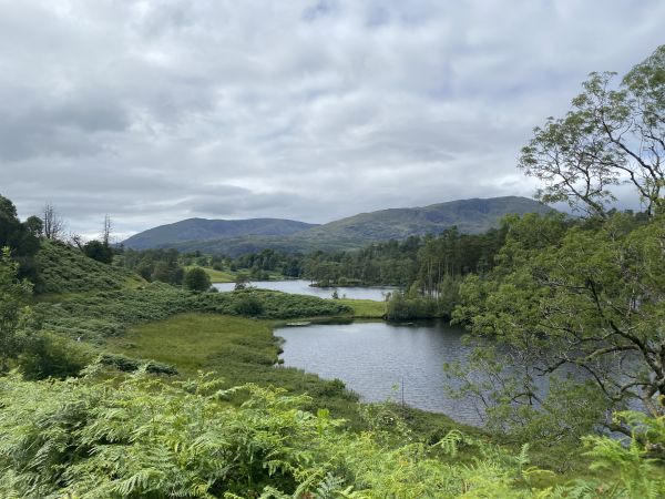 Tarn Hows