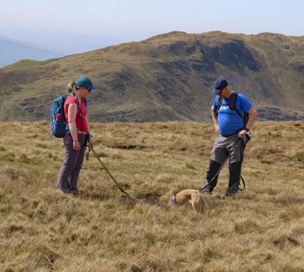 From Blease Fell