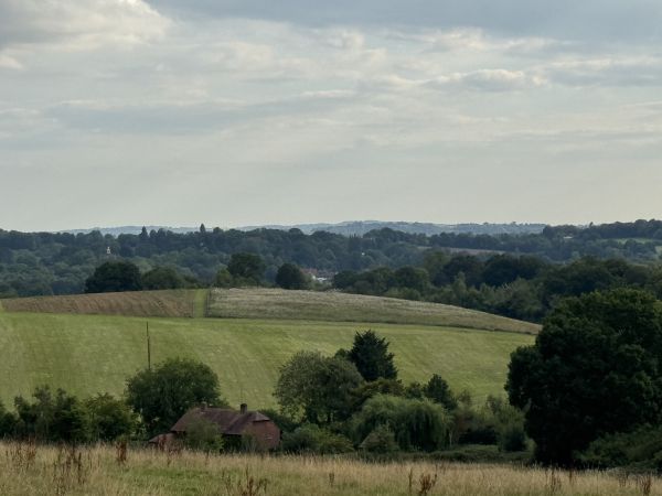 Country view 