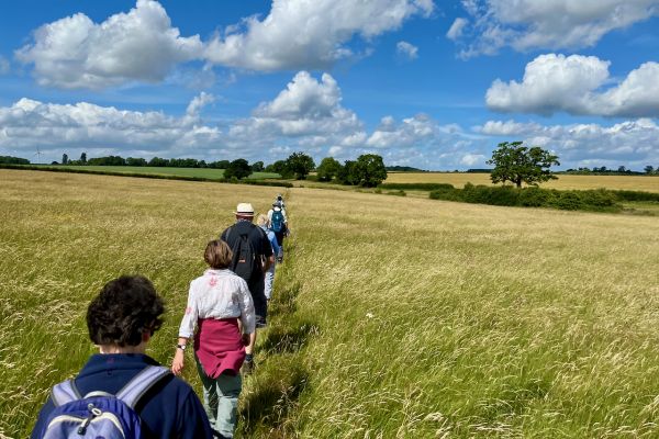Walking through a field