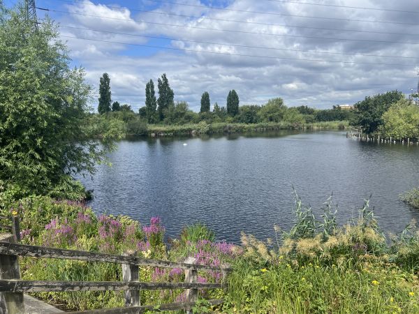 Walthamstow Wetlands