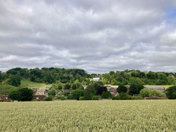 View