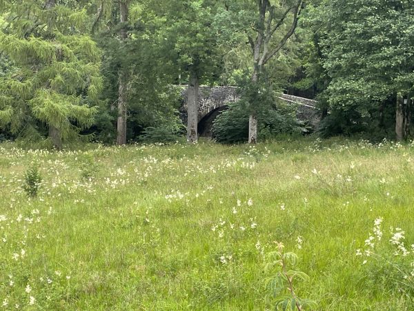 Old Manor Brig
