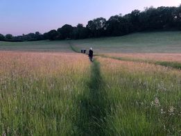 evening light and shadows Ramblers walking
