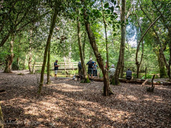 ramblers tea break  under trees in New Forest