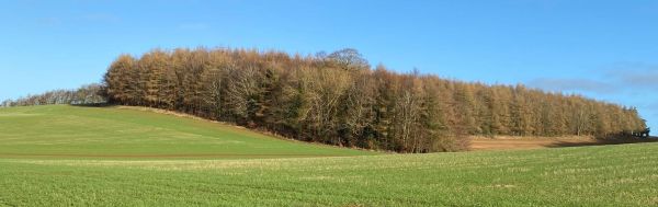 Monday walk