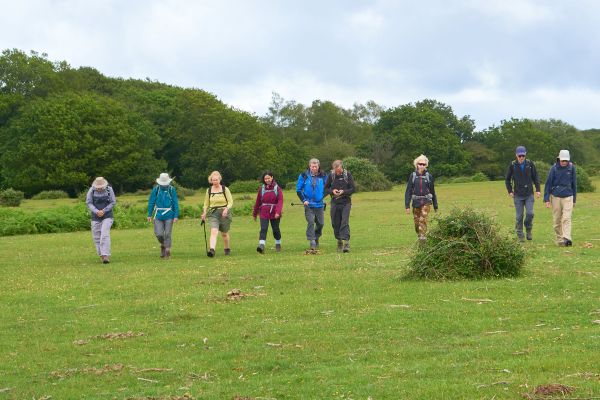 ramblers walking across field with trees in background
