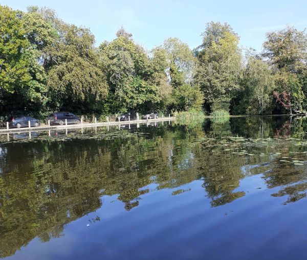 Pond