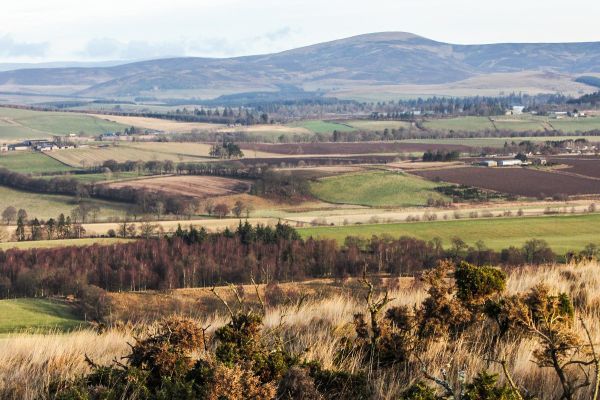 View from Hill of Alyth towards Cat Law