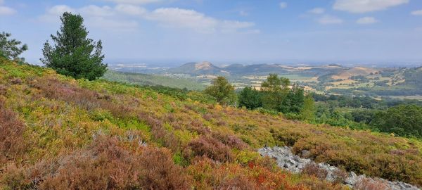 Near Stiperstones