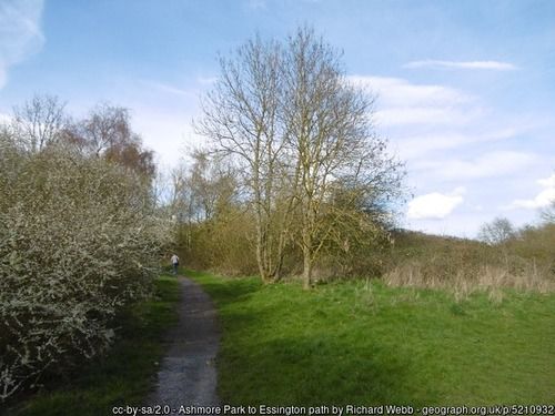 Ashmore Park to Essington path, copyright Richard Webb, used under Creative Commons licence v2.0.