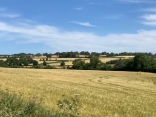 Fields