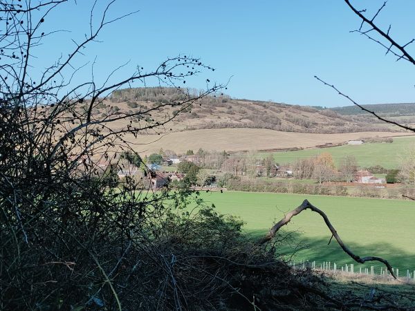 Hills