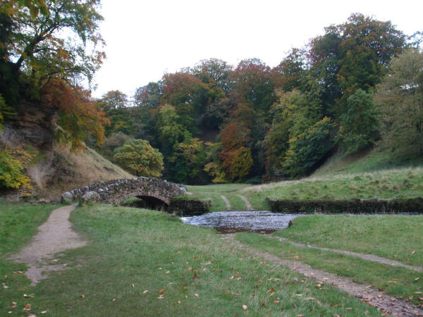 Autumn colours in the deer park