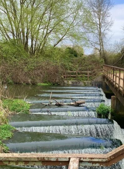 labrynth weir