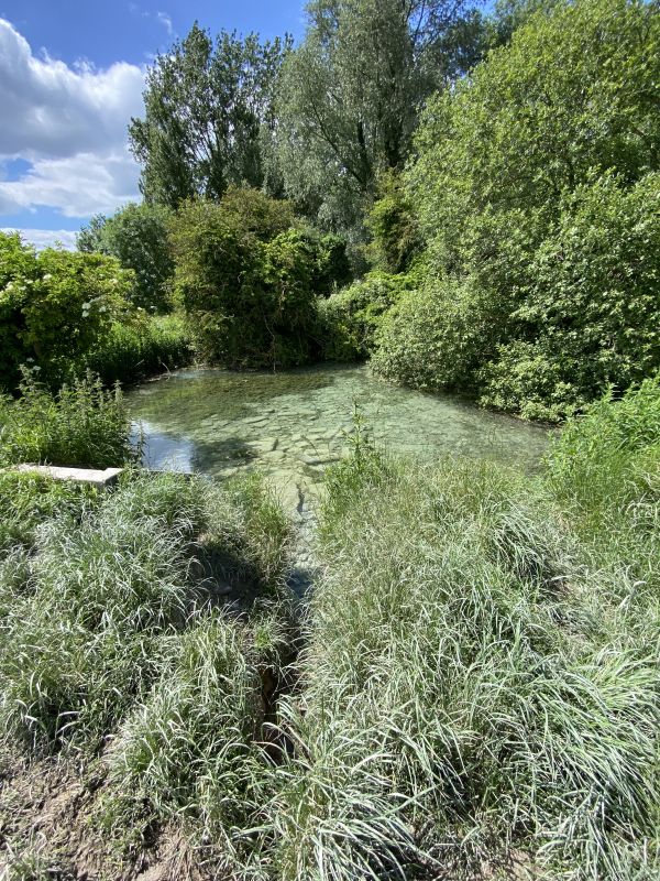 WEllhead springs