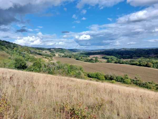 View from Picketts Hole