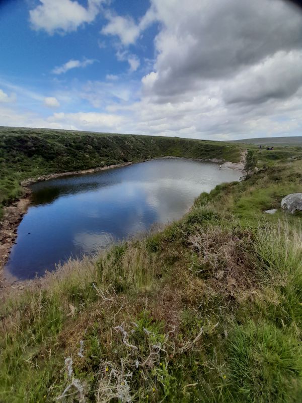 Crazywell Pool