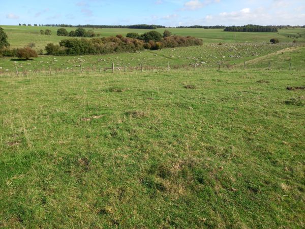 Grey Wethers on the downs