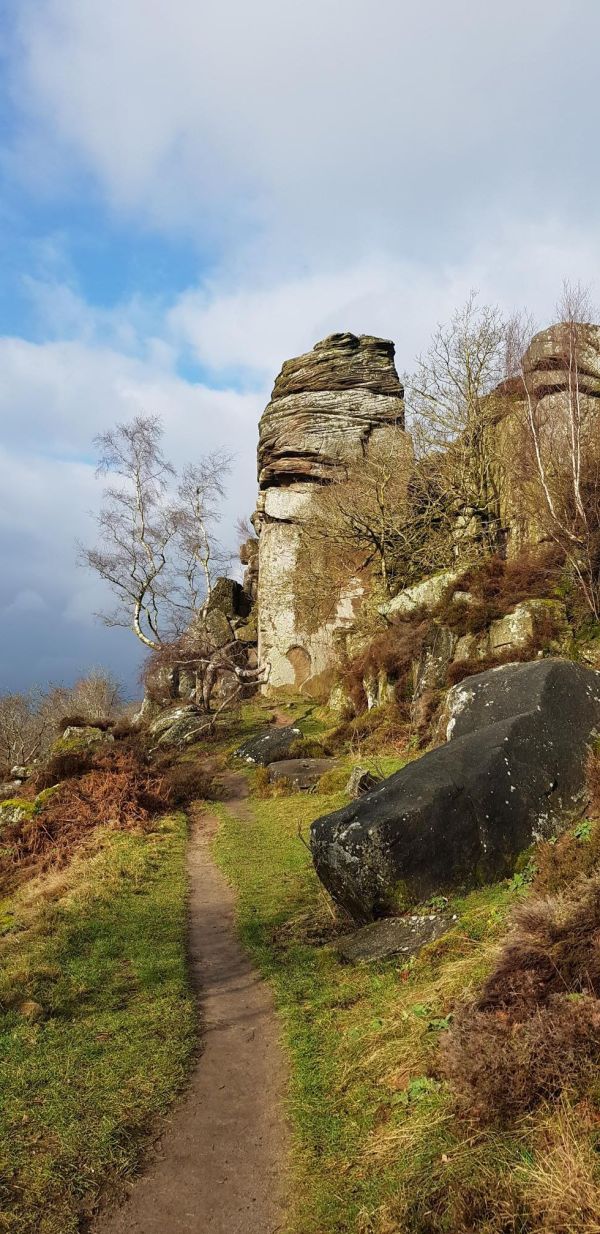 A recent walk