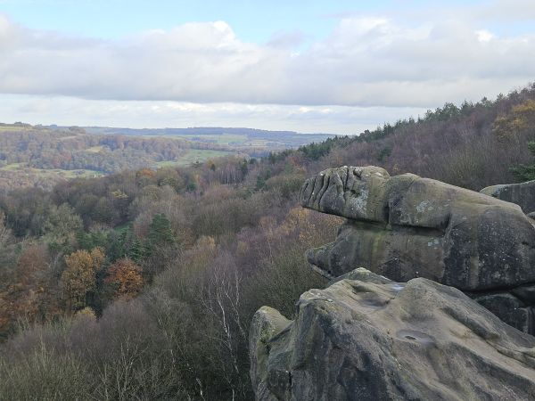 Looking out from a high point
