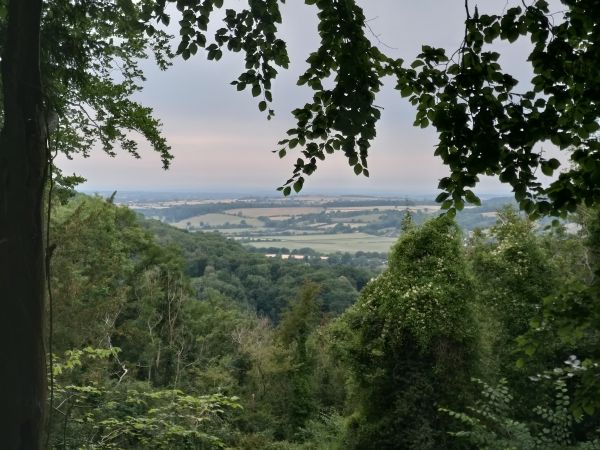 View from Benthall Edge
