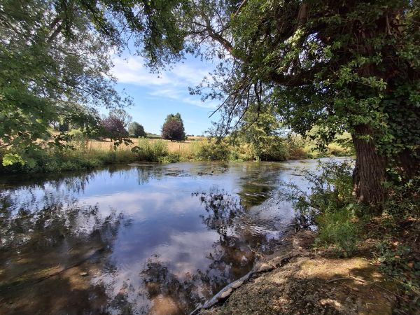 The River Meon near Exton