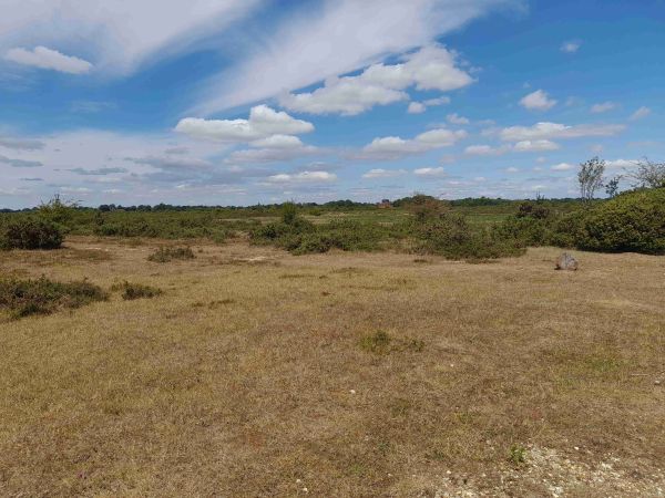 Greenham Common
