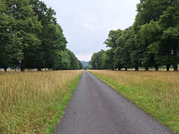 avenue