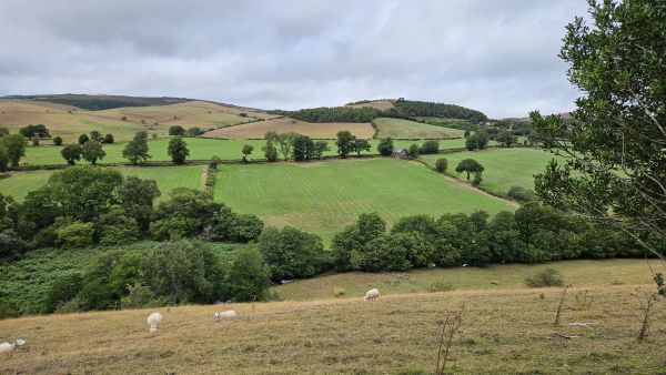 View from Adstone Hill of Prolley Moor