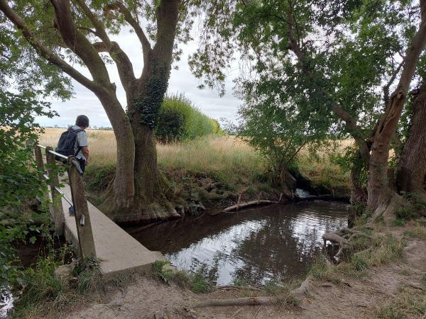 Bridge over stream