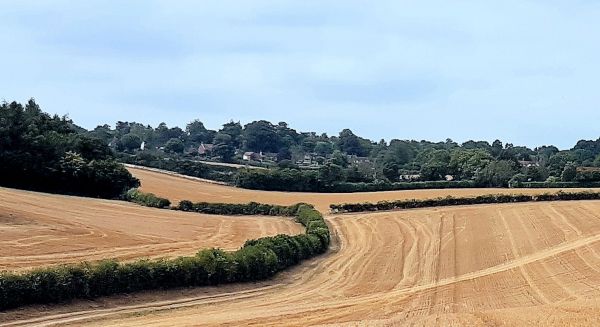 Penn Bottom