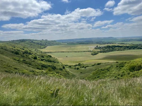 A view from the Downs