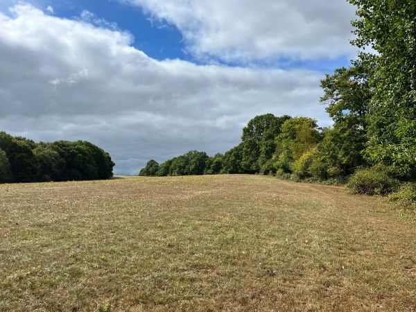 Edenbridge countryside