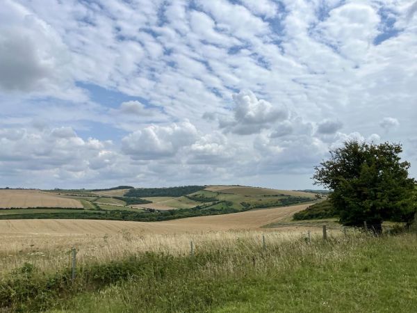 Fields and a "mackerel sky"