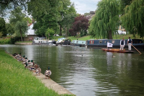 A punt, canal boats and ducks on the River Cam