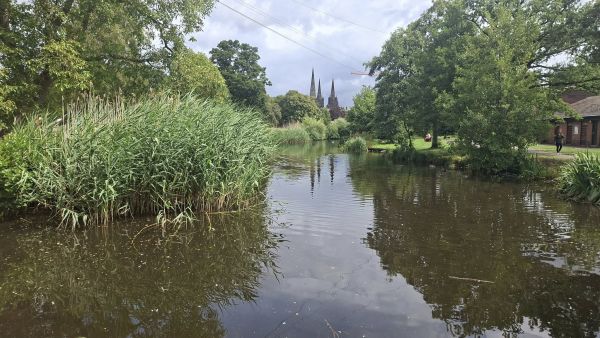 Lichfield Cathedral from Beacon Park 