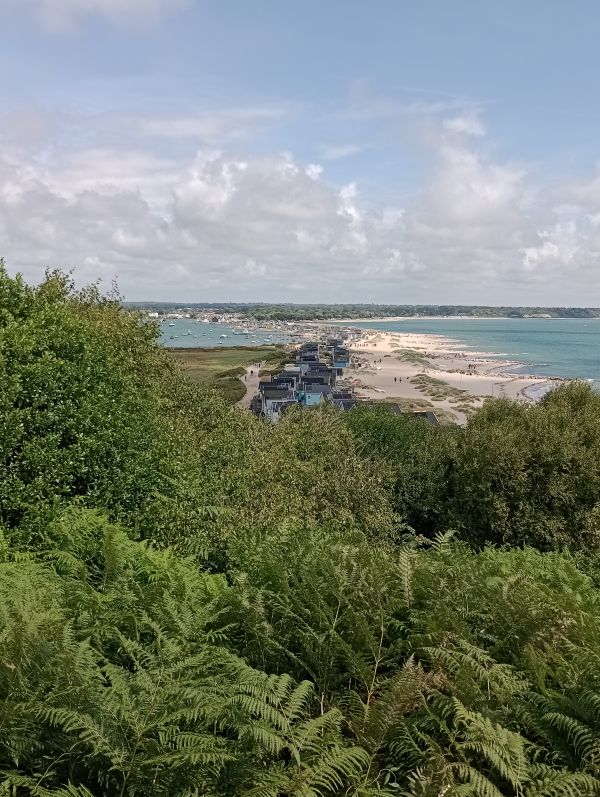Christchurch Harbour 