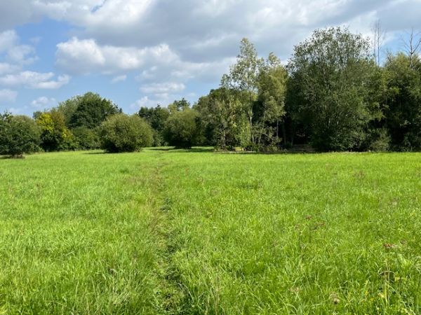 Open meadows