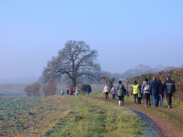 Walkers walk away from the camera along a track by a bare field with a tree up ahead and a bright blue sky