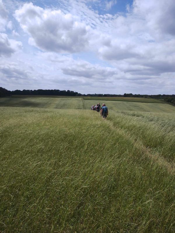 Ramblers walking across field under grey skies