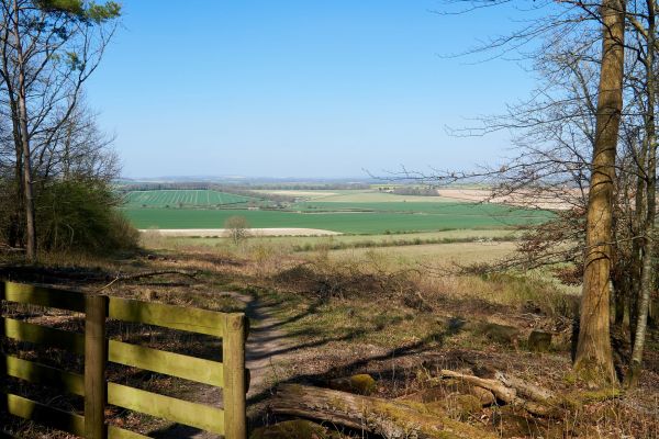 gate and view over fields