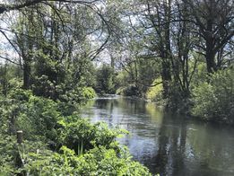 river itchen and bank