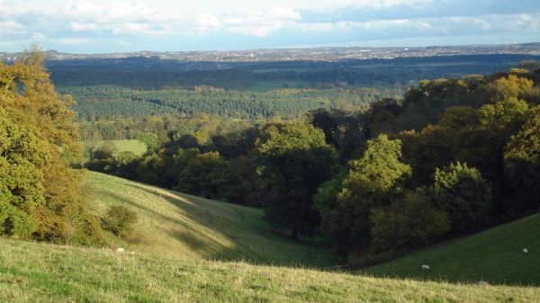 Enville Sheepwalks