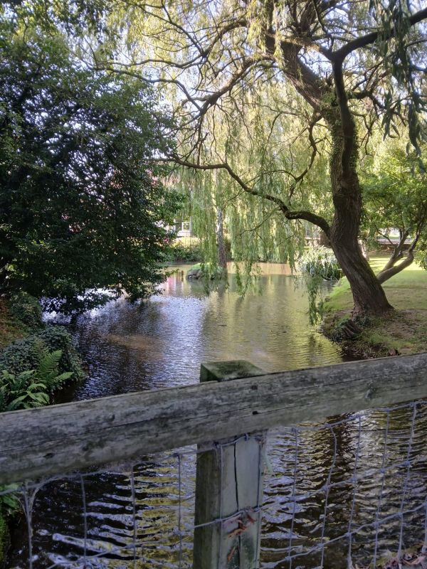 A river view