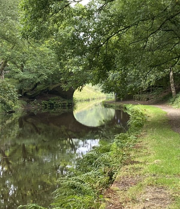 Light reflecting on canal