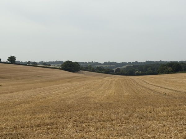 View across Lea valley