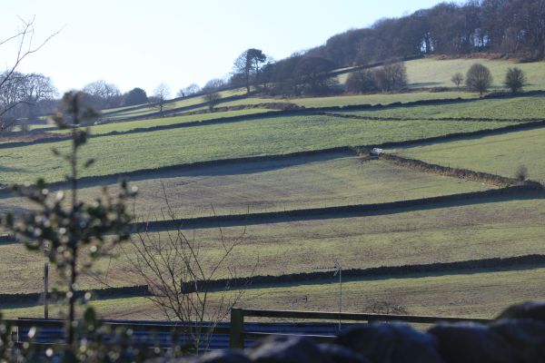 The Chevin