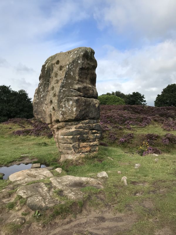 Cork Stone
