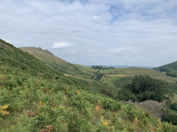 The summit of Caer Caradoc in thedistance.
